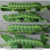 colias alfacariensis larva5 volg1